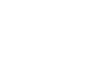 Fels Sicherheitsdienst